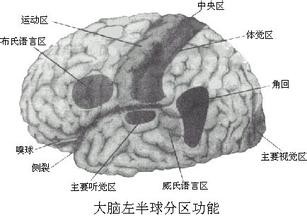 癫痫病因